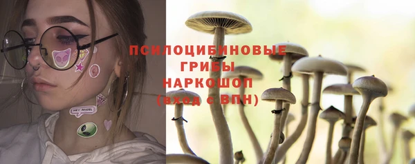 mdpv Бугульма