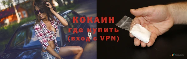 2c-b Бородино