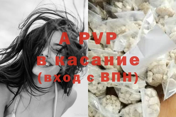 2c-b Бородино
