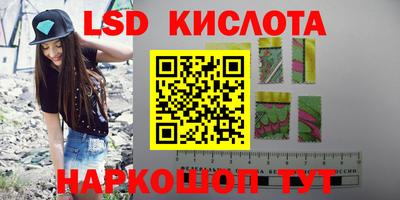 сатива Кингисепп