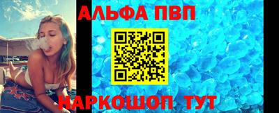 сатива Кингисепп
