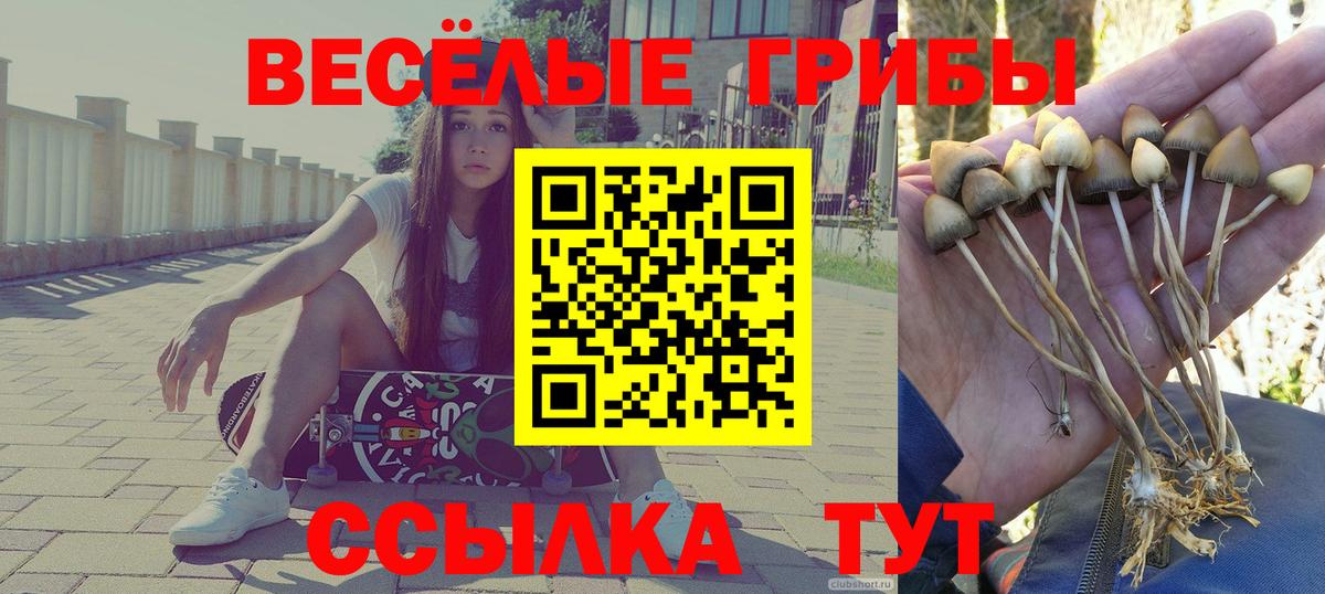 Галлюциногенные грибы мицелий Можайск